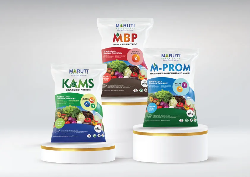 Label and Boxes design