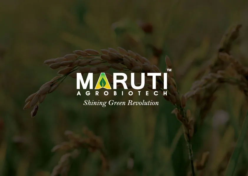 Label and Boxes design